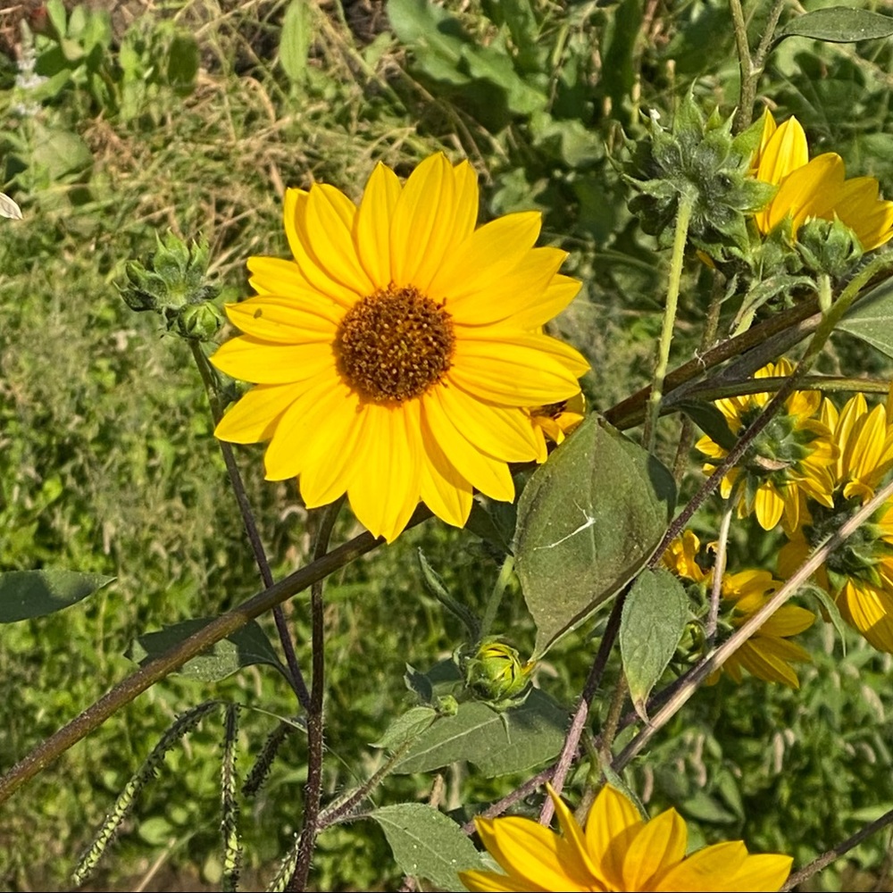 Meet your Posher, Eileen